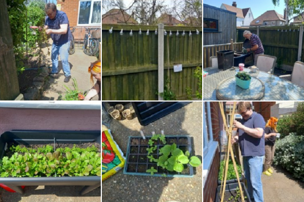 A 6 image collage of residents at Buregate Road working on their garden, planting tomatoes and other plants as well as painting fences