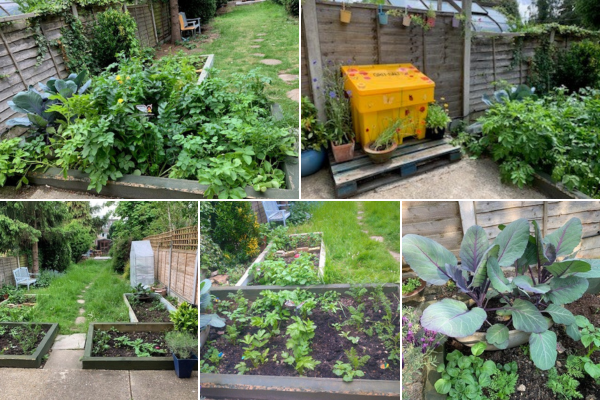 A 5 image collage of the garden at Compton Road showing the planting of vegetables, shrubs and flowers as well as colourful hanging plant pots on the fence