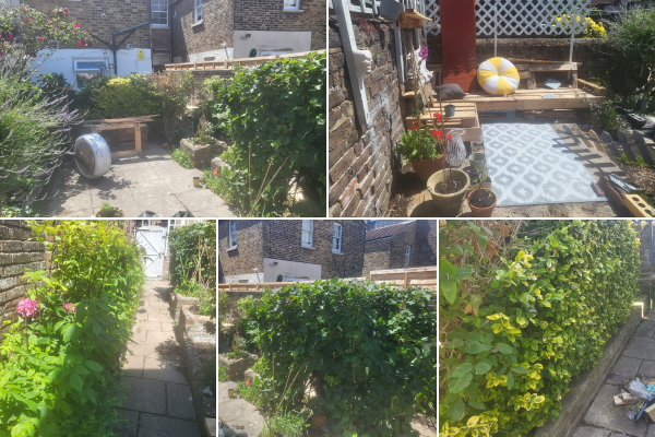 A 5 image collage of the garden at Milton Street with trimmed hedges and a nice seating area made using pallets and other wood with plants in plant pots, a nice outfoot rug and a bright yellow and white cushion