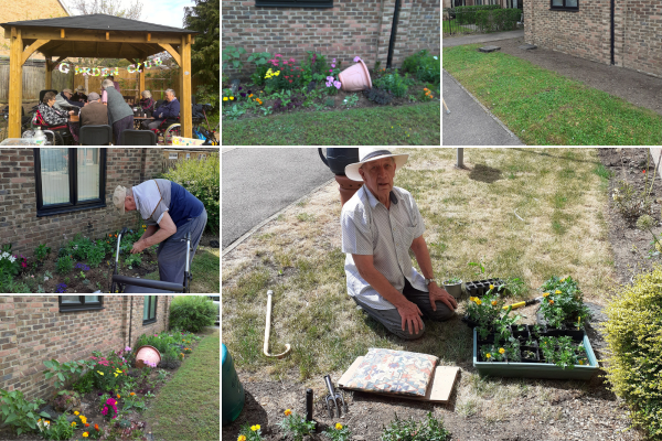 Residents at Millbrook House who are part of the gardening club, planting flowers and other plants in their garden