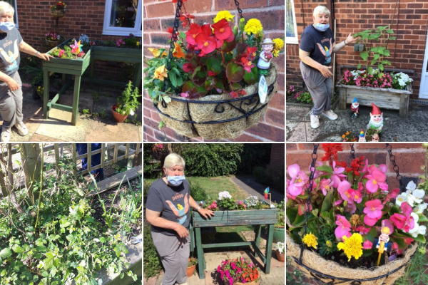 A 6 image collage of the garden at Shaftesbury place including resident Tina planting a range of brightly coloured red, pink, white and yellow flowers