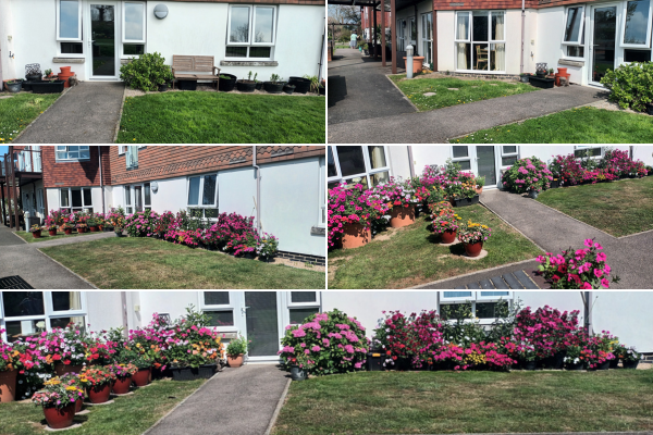 A 6 image collage of before and after photos of resident Christine's garden outside of her apartment the before is bare with a few plant pots and the after is full of an array of pink and bright coloured flowers lining the exterior walls of her apartment and pathway to the door