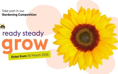 A Ready, Steady Grow banner finished with a yellow sunflower. 