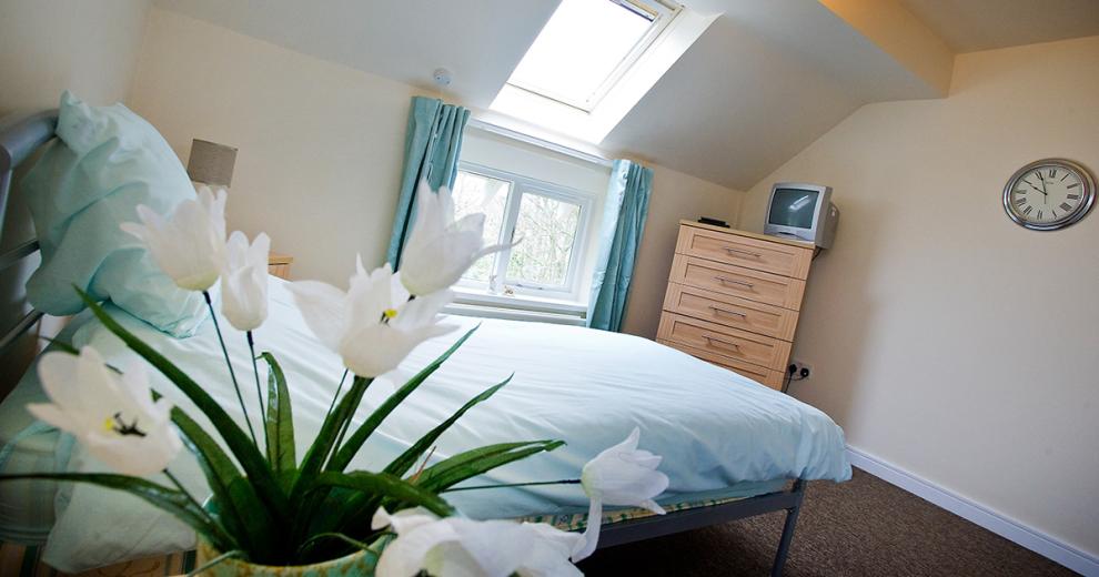 Comfortable, luminous, white and blue single-bed room, with homely furniture.