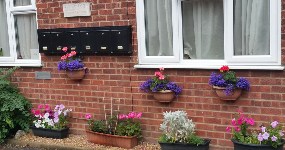 A bold, vibrant array of pink, purple and white potted flowers. Neatly aligned in a stoned gravel bed in front of the building and post boxes.