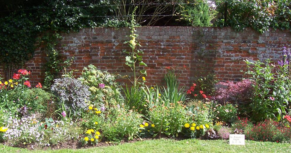 Beautiful, vibrant, blossoming garden plants in an array of colours and maturity.