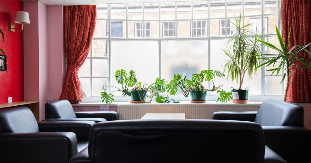 Spacious, communal seating area in front of a substantial frosted bay window featuring banana leaf plants.