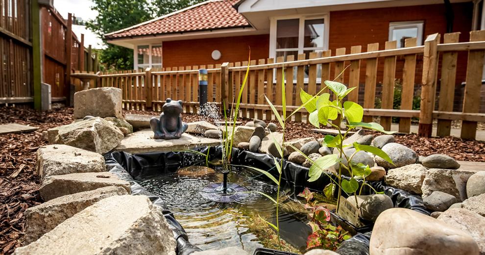 Peaceful, water feature area fenced off from the walkways, surrounded by a mix of different sized stones and rocks to create a rock pool. The addition of the cute frog feature and water plants create a harmonious space.