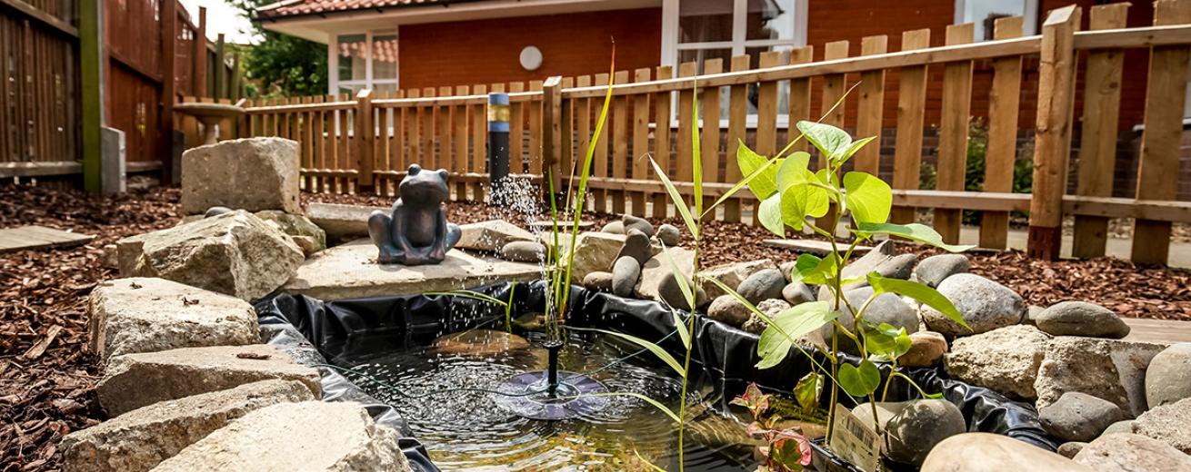Peaceful, water feature area fenced off from the walkways, surrounded by a mix of different sized stones and rocks to create a rock pool. The addition of the cute frog feature and water plants create a harmonious space.