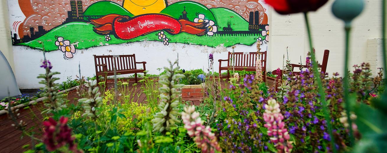 Vibrant, sun on a green hill setting with high rise building graffiti artwork on the back wall. Three wooden benches sit in front of the artwork amongst the colourful wildflowers.