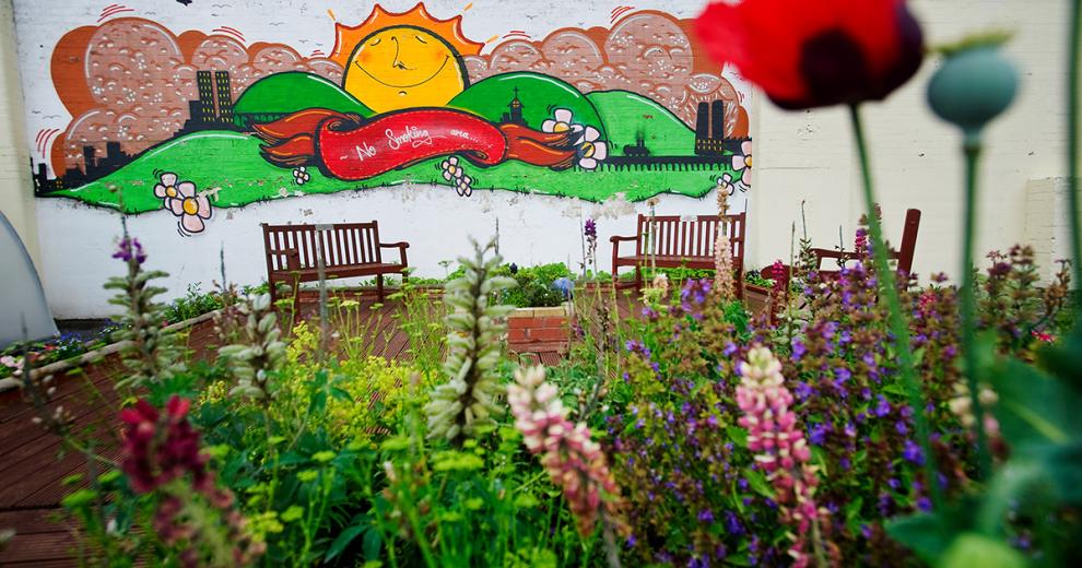 Vibrant, sun on a green hill setting with high rise building graffiti artwork on the back wall. Three wooden benches sit in front of the artwork amongst the colourful wildflowers.