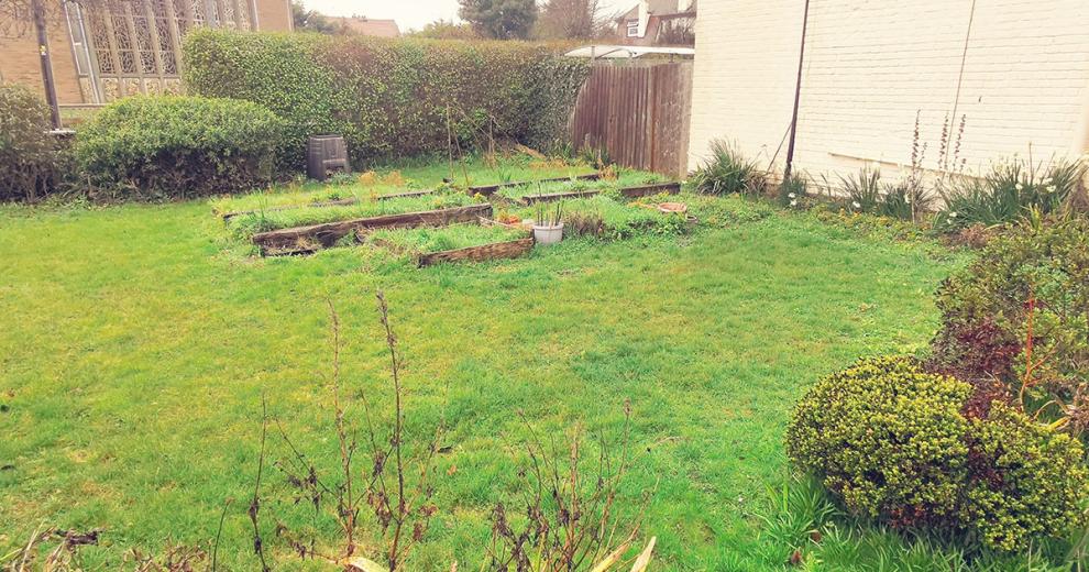 Spacious outdoor grassed garden area with sectioned off planting areas.