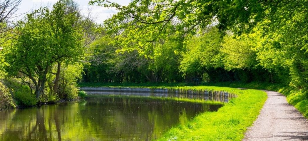 A sunny riverside path with green trees and calm water.