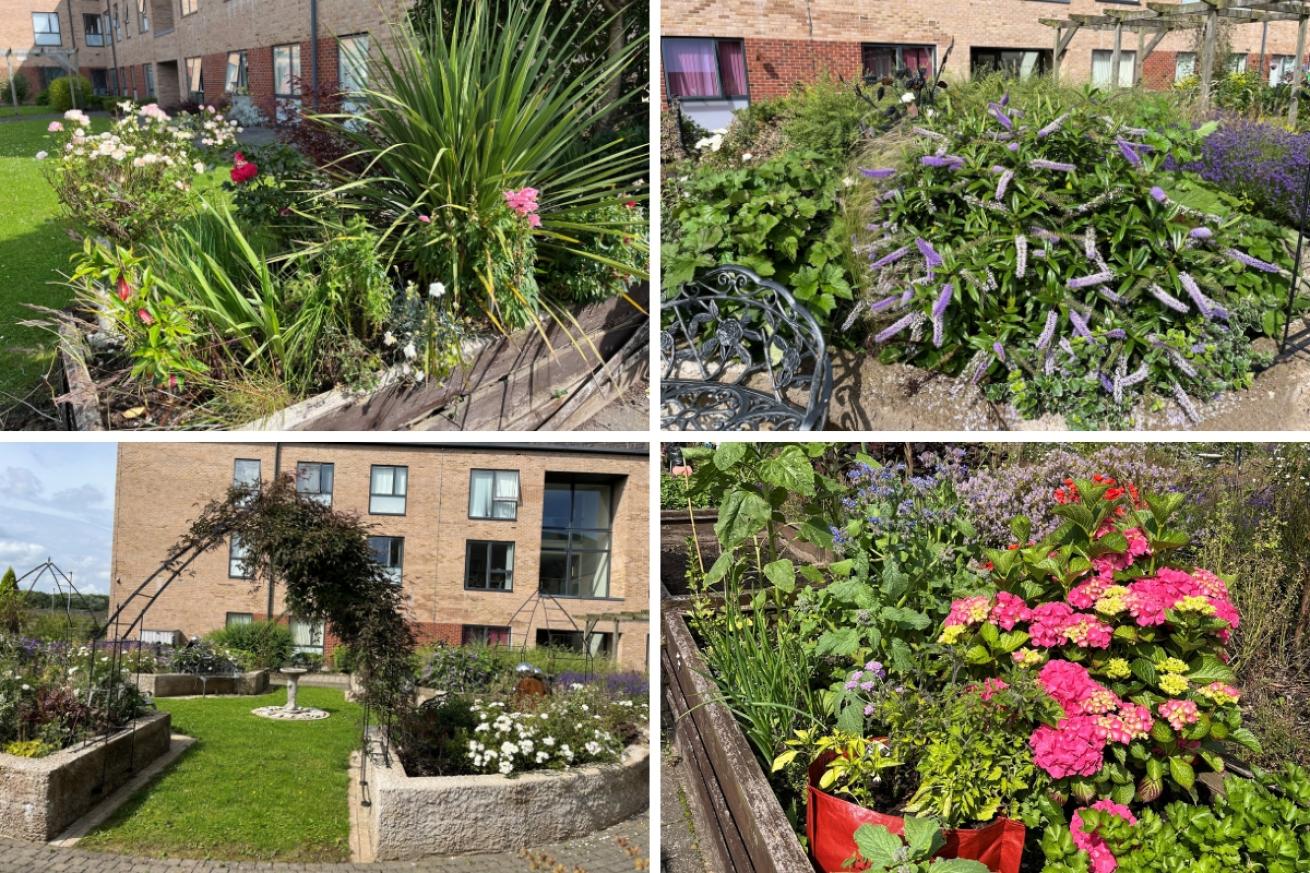 A collage of 4 images showing colourful flowers in Baskeyfield gardens