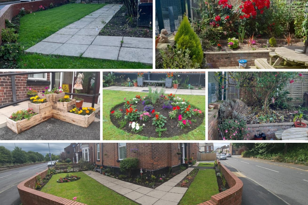 A collage of 6 images showing the plants, flowers and gardens in Halton Road