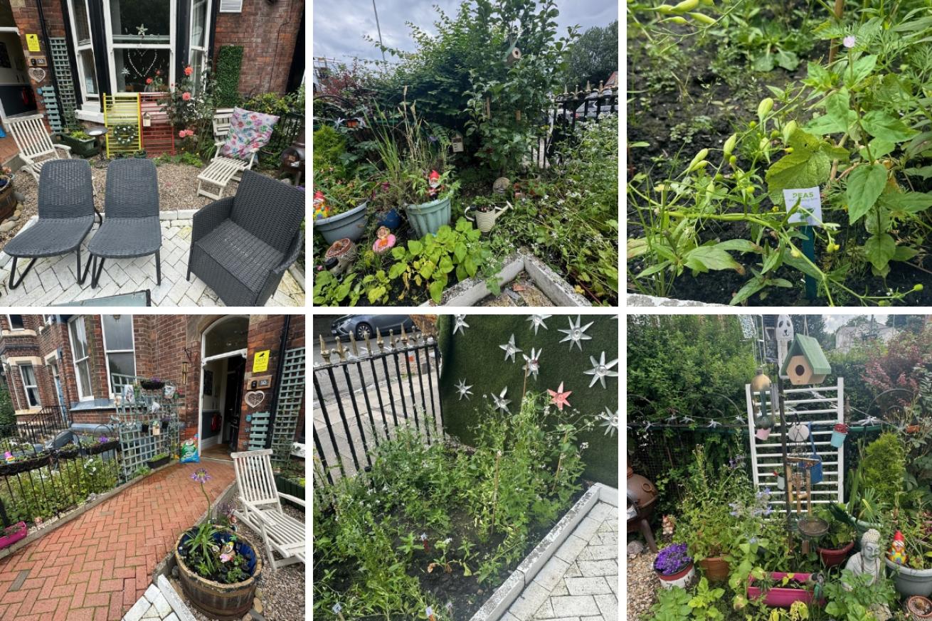 A collage of 6 images showing the quirky garden of Station Road included some homegrown peas