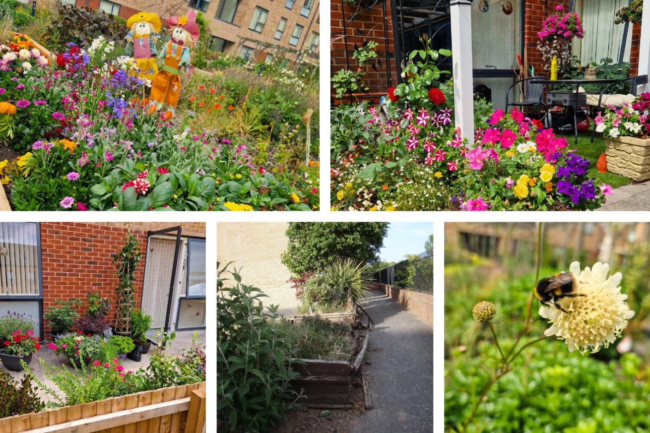 Baskyfield House garden, they have transformed water worn troughs into lush and vibrant flower displays full of colour
