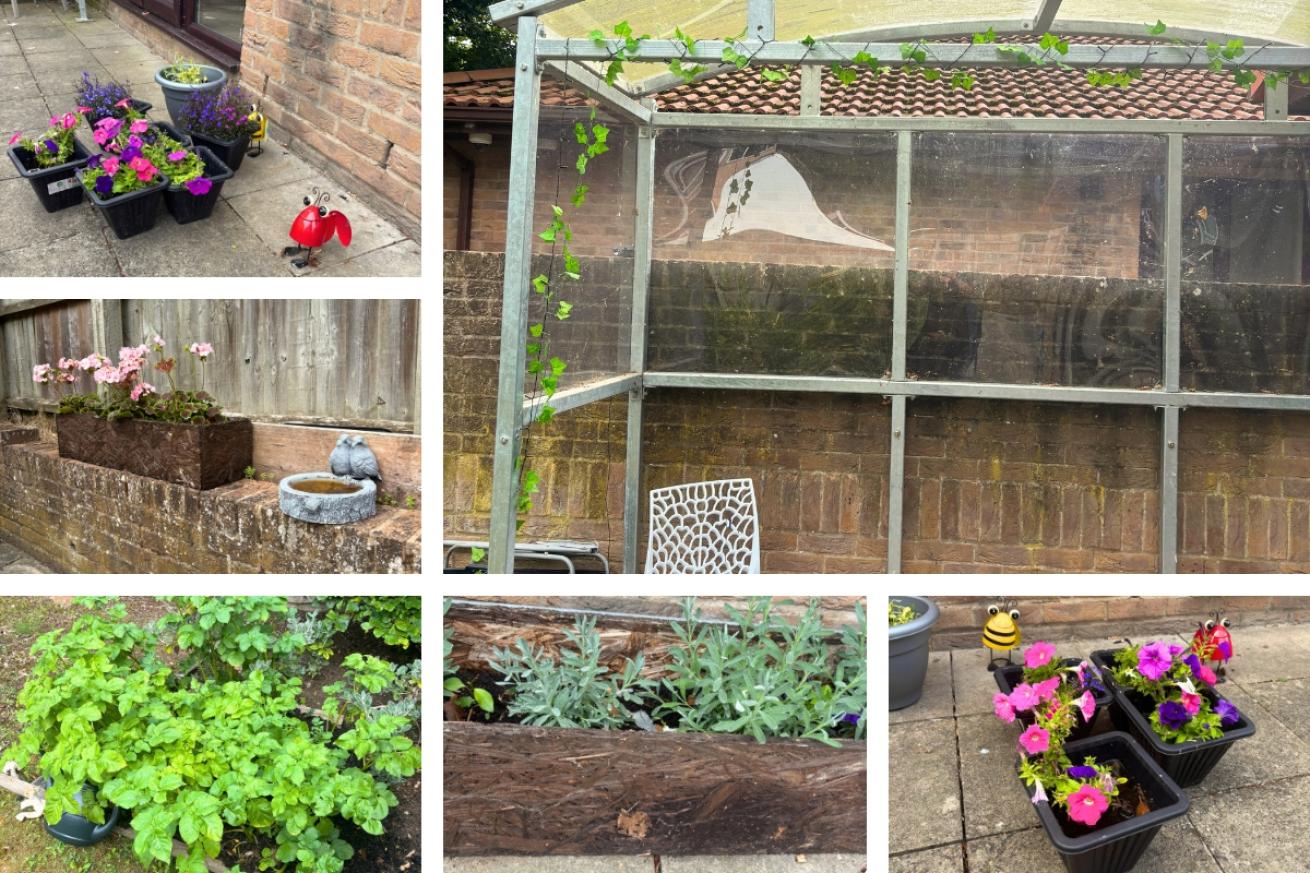 A collage of Caledonia House garden, they have lush green and pink potted plants and flowers with cute bug ornaments