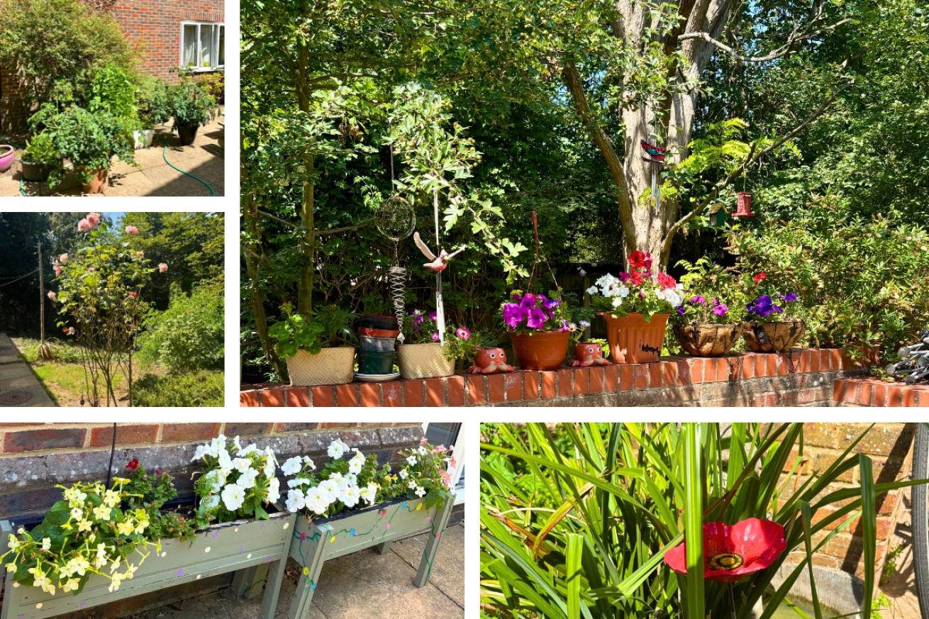 A collage of Canterbury House garden, they have a variety of differently coloured flowers in a variety of pots atop a short brick wall, they have also displayed some of their flowers in a beautiful hand painted shelf, there is also a photograph showing a tall pink blooming rose bush