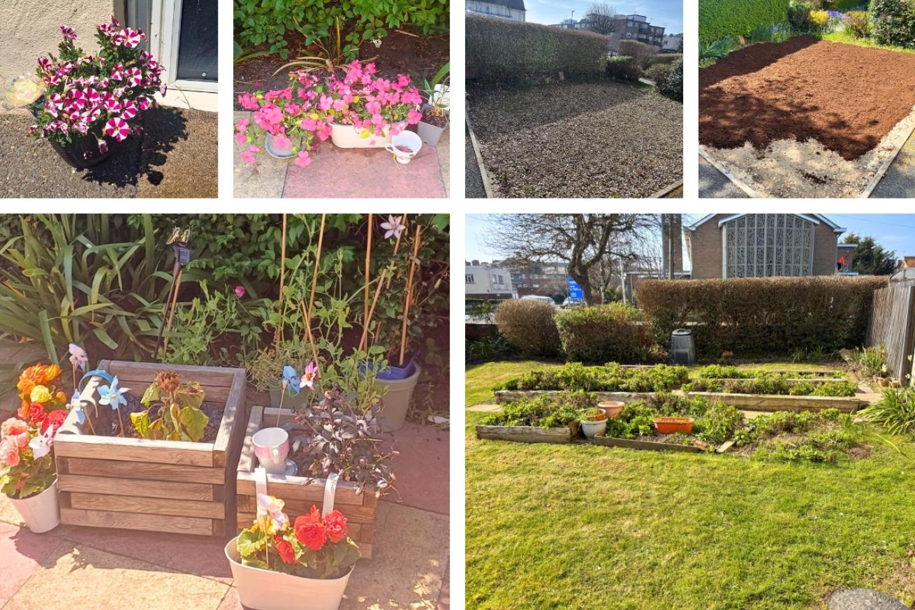 A collage of Church Road garden, they have resoiled an area od the garden and filled it with lush green vegetables, they have also displayed some colourful potted plants