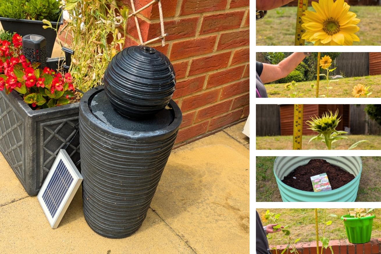 A collage of Dobsons House garden they have displayed a modern solar powered fountain and grown many beautiful sunflowers
