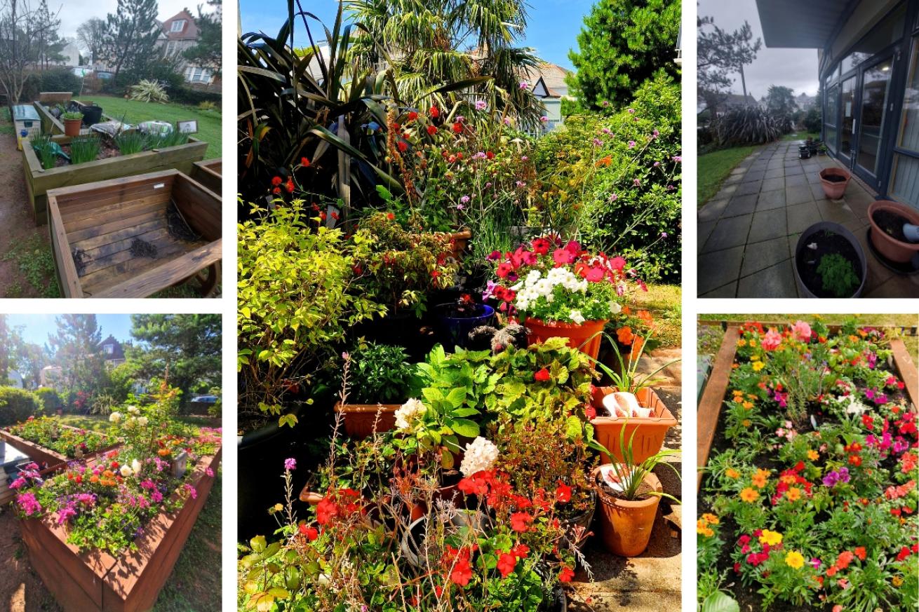 A collage of Dunboyne Court garden, it shows empty waterlogged pots and troughs and then shows them filled with vibrant, lush and beautiful flowers
