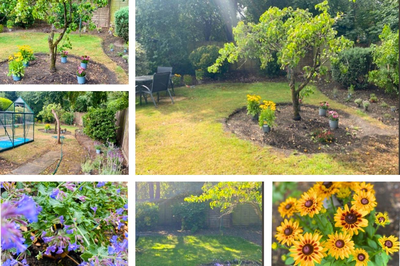 A collage of Glen House garden, the collage portrays a well kept lawn with a table, chairs and a green house. On the right side of the lawn is a tree in the center of a circular plot in which vibrant yellow  and pink flowers have been planted