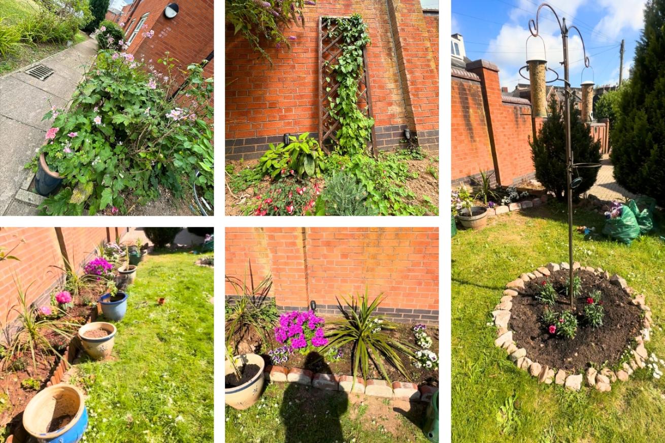 A collage of Howell House garden, they show their pretty flowers planted in various shades of pink, they also show their new bird feeder  which is tall and has flowers at its feet