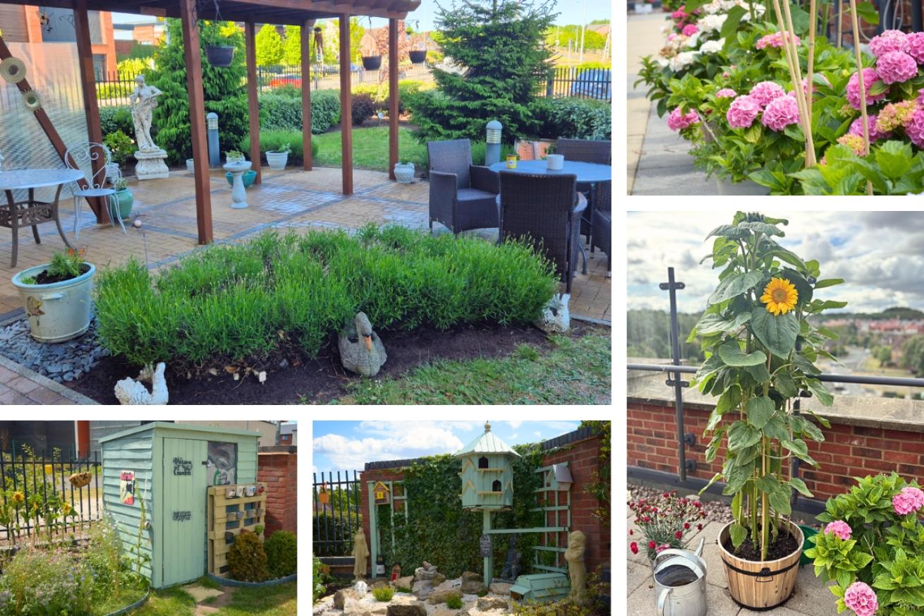 A collage of Lawley Bank Court garden showing their seafoam green shed and birdhouse, pastel pink hydrangea bushes and tall, lush sunflowers. They also have stone statues as decor.