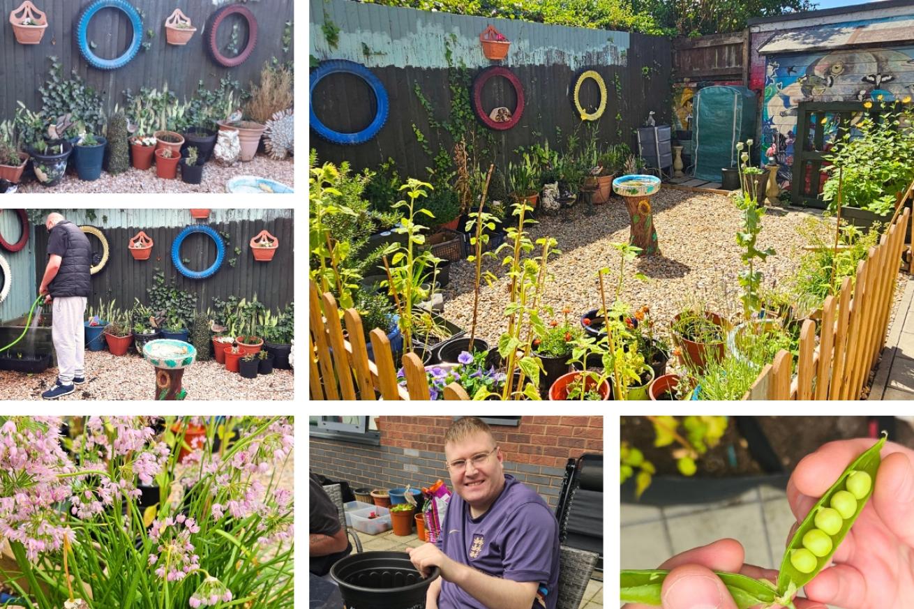A collage of Bransby Court garden, they have shown the progress they have made in their garden and a resident helping to plant vegetables, they also show some freshly grown peas they harvested