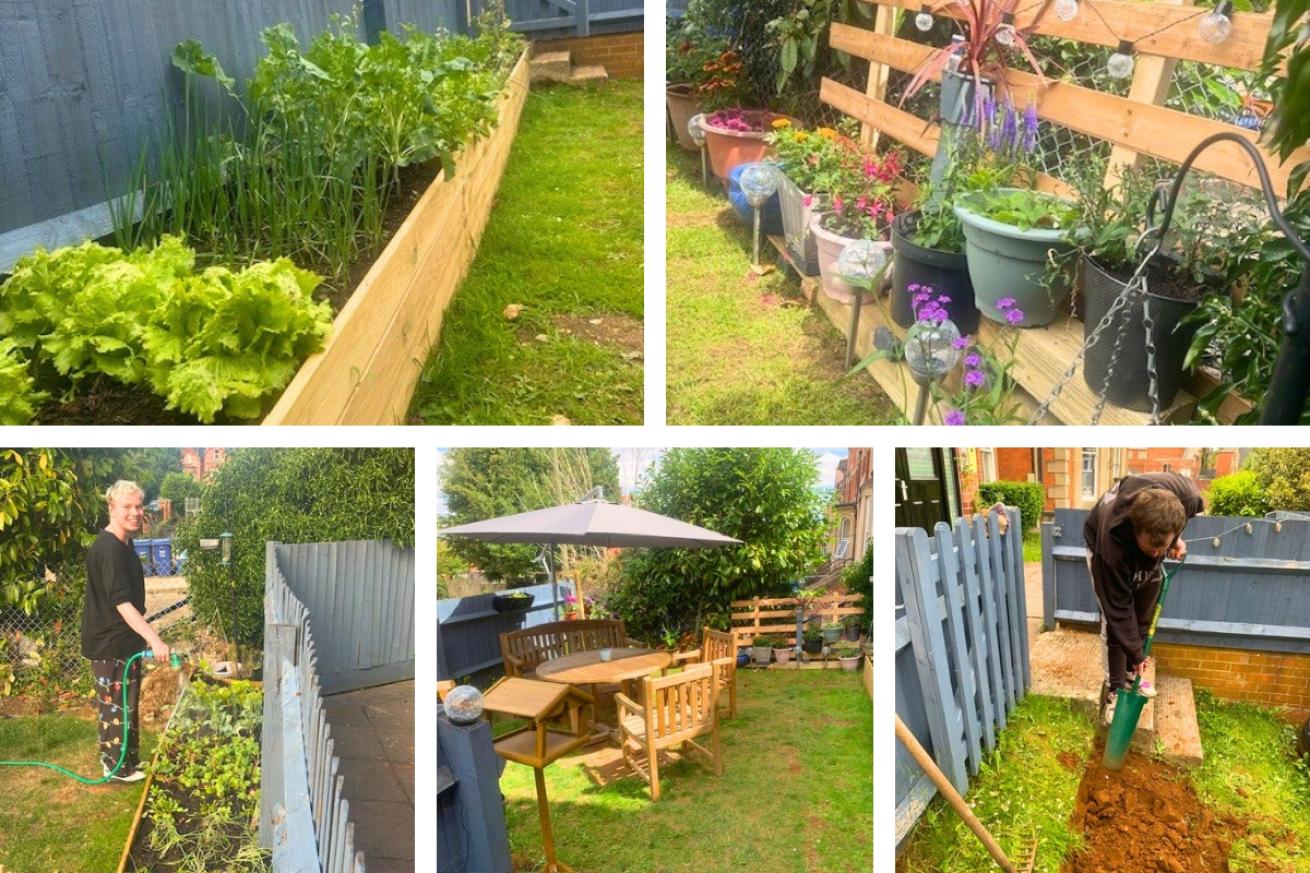 A collage of Dashwood House garden showing all of the fresh vegetables they are growing and two residents helping dig the soil and water the plants
