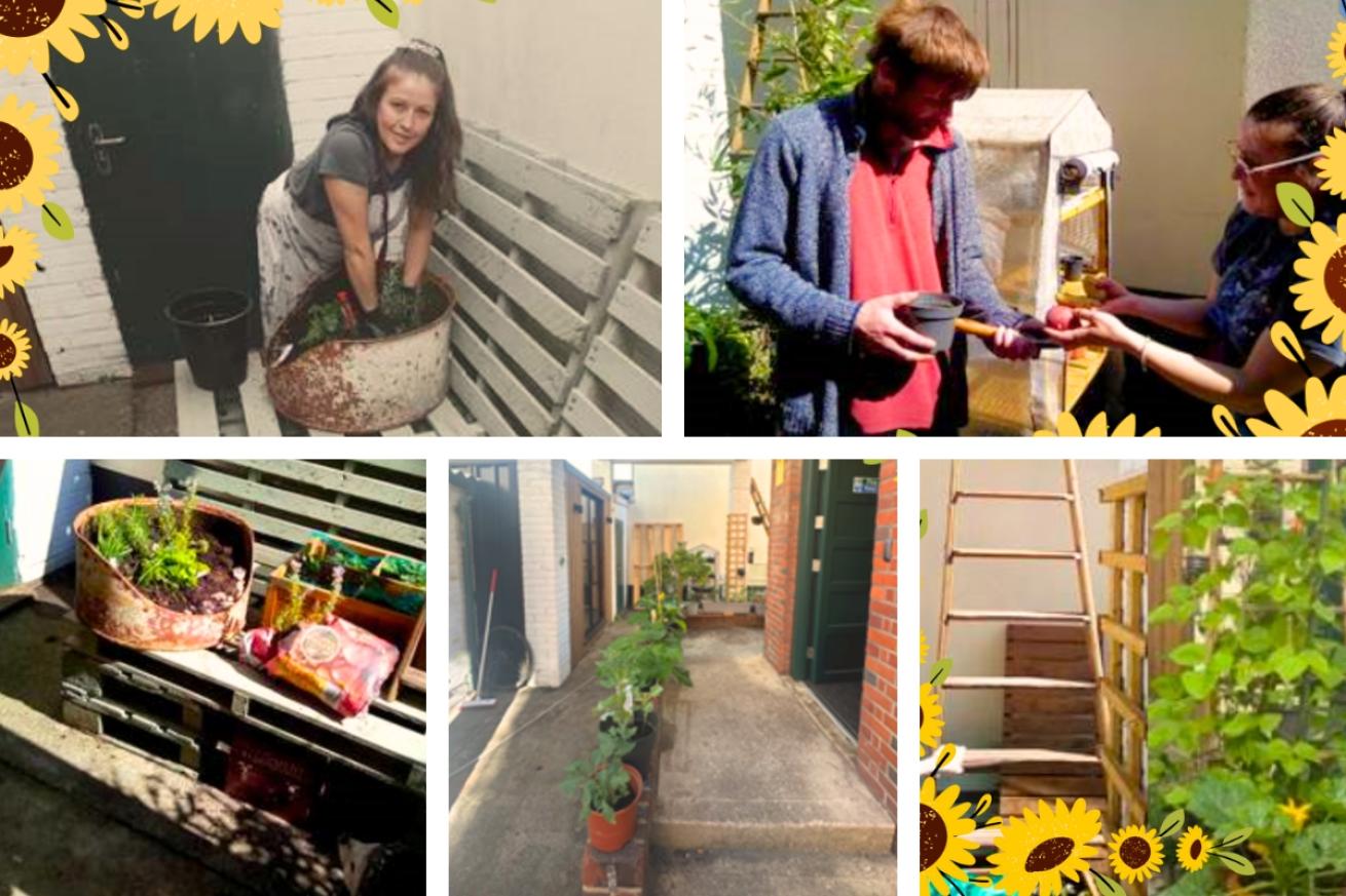 A collage of John Baker House garden showing their collection of potted vegetables and three residents helping plant them