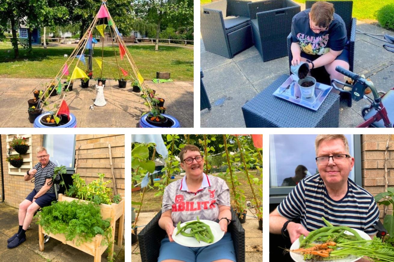 A collage of Oleander House garden showing a tent like structure they have made out of their green beans, two residents assisting with caring for the vegetables and pictures of the same residents holding plates of beans and carrots