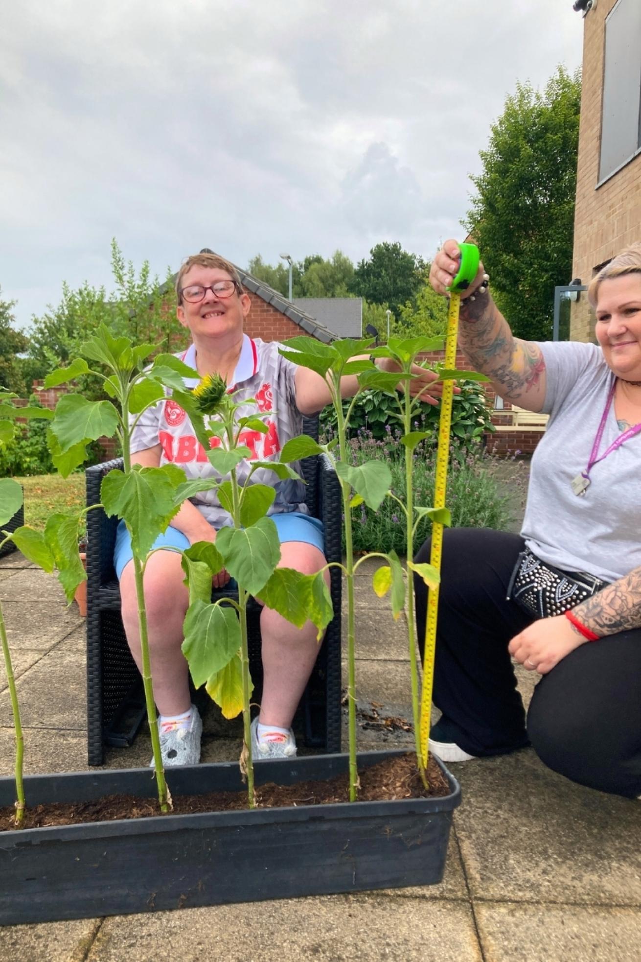 Oleander House Sunflower