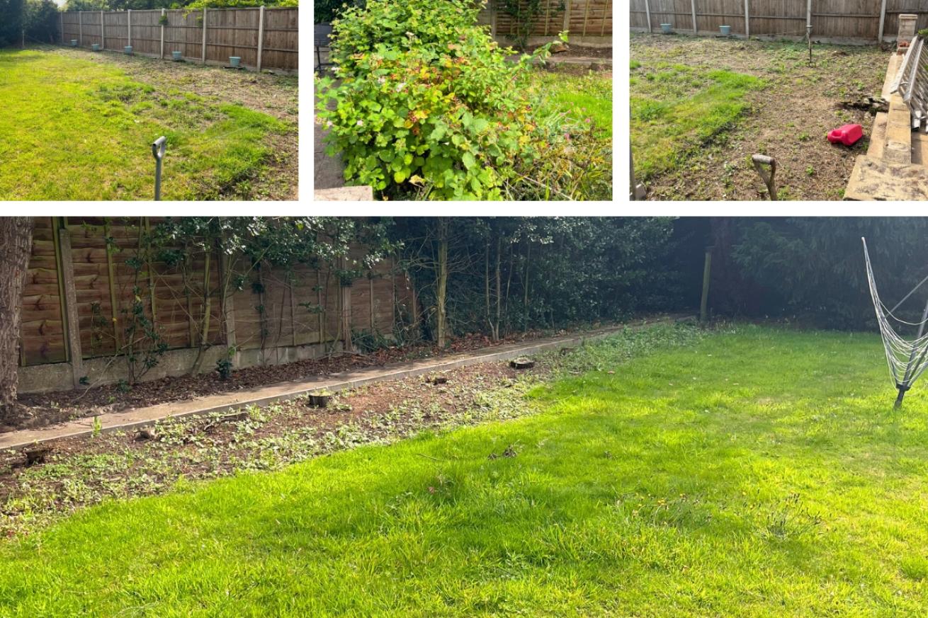 A collage of Reepham Road's lush maintained lawn and a photograph of a berry bush growing in their garden