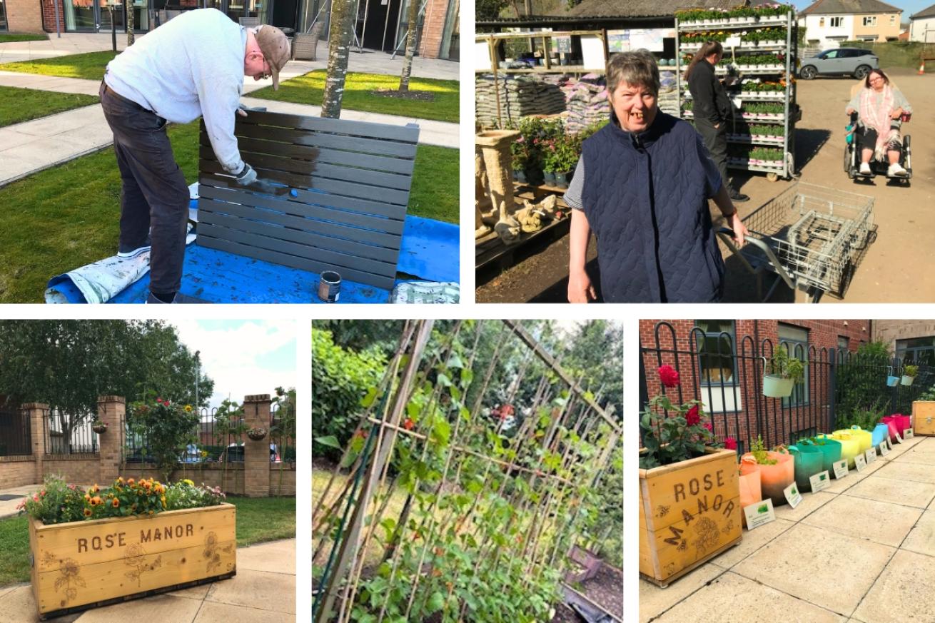 A collage of Rose Manor garden showing three residents helping to paint planters and plant vegetables, they also show many vegetables sorted into many differently coloured pots