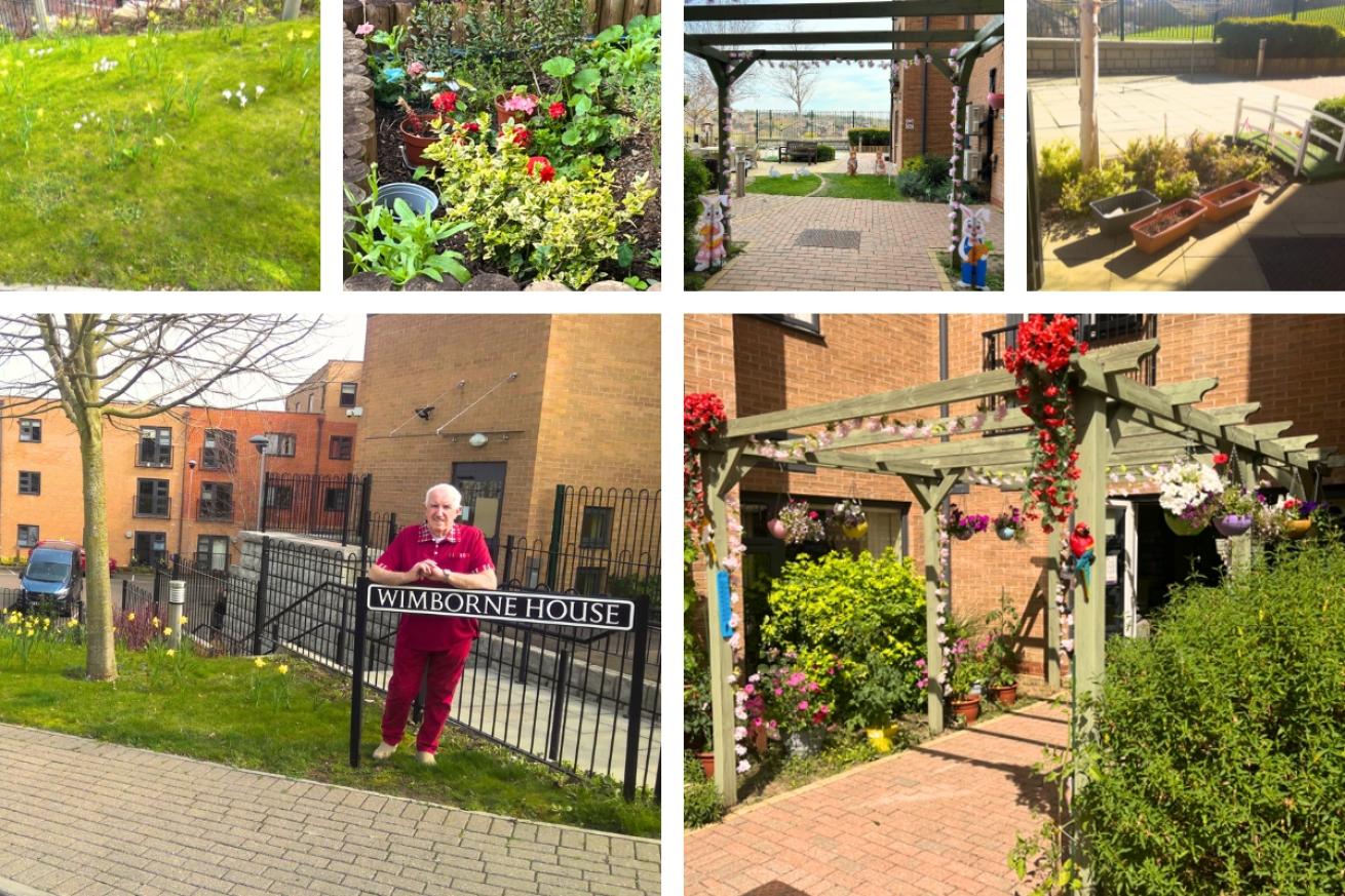 A collage of Wimborne House garden, they show their awning decorated with flowers and hanging planters  and their collection of bright potted plants, they also show a photograph of the resident that helped with the plants posed with the Wimborne house sign