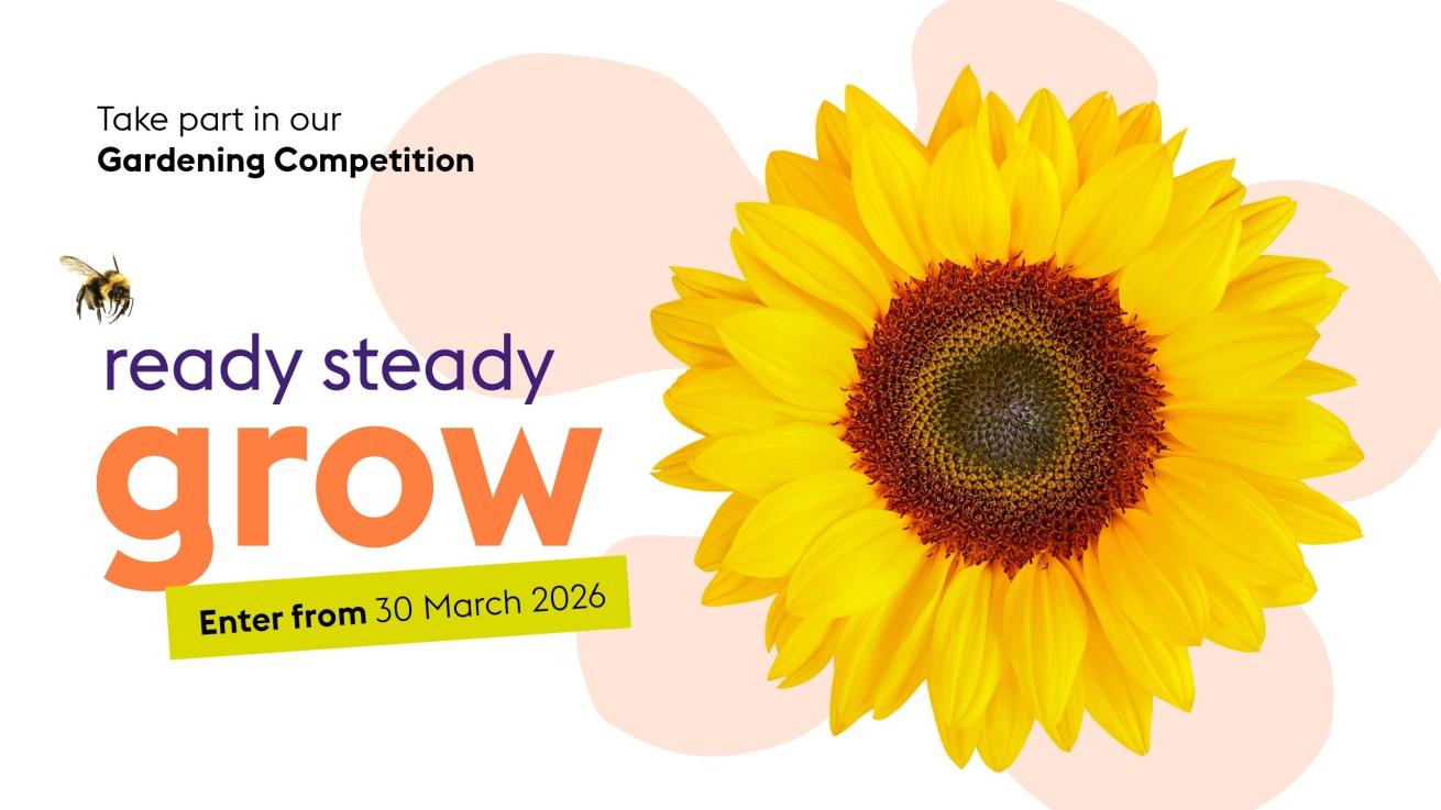 Graphic promoting Sanctuary Supported Living's Gardening Competition. A large yellow sunflower is shown on the right against soft light orange tint shapes. Text on the left reads: ‘Take part in our Gardening Competition. ready steady grow.’ A small bee is positioned near the heading. A bright green label states: ‘Enter from 30 March 2026.'