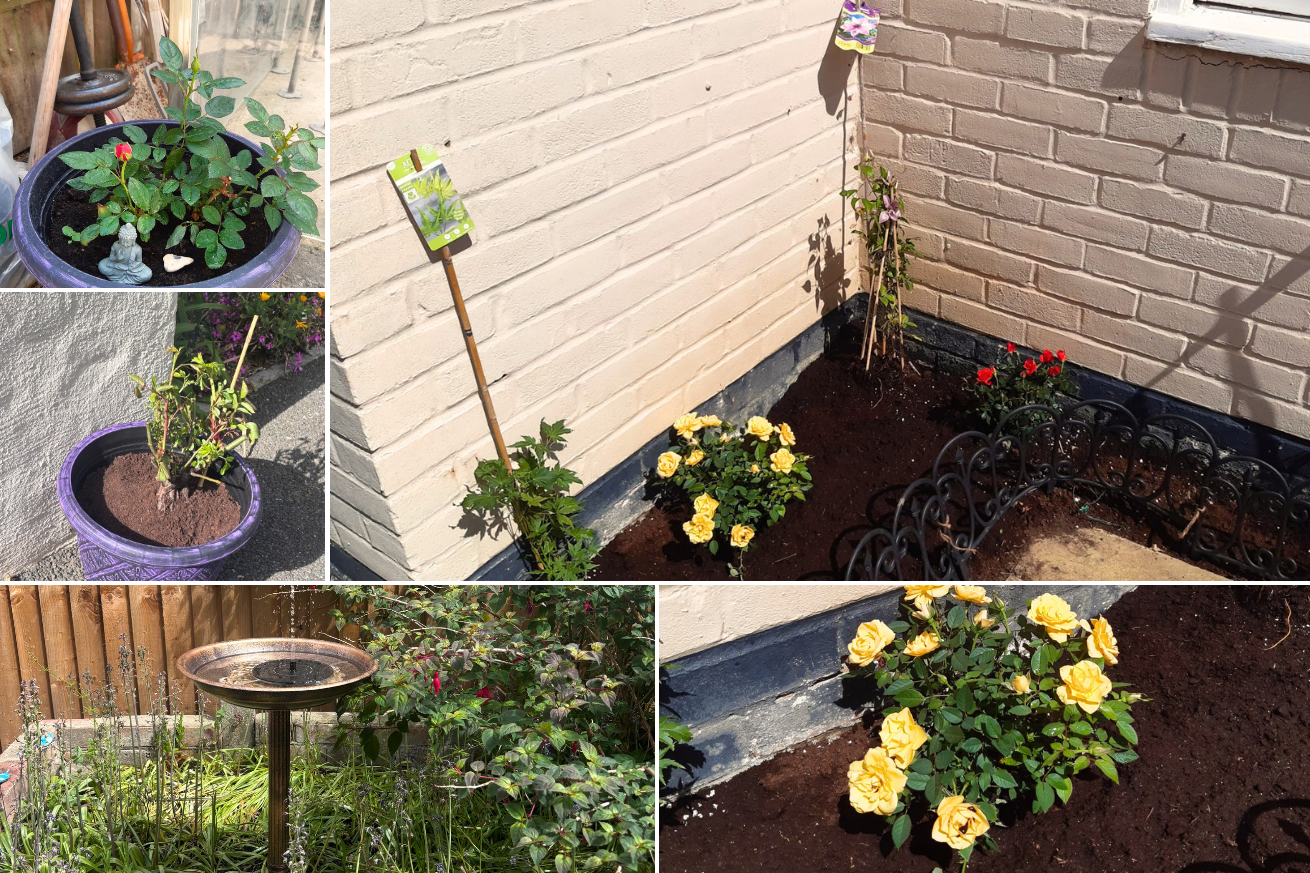 Church Road's submission shows a beautiful bird bath and bushels vibrant coloured flowers