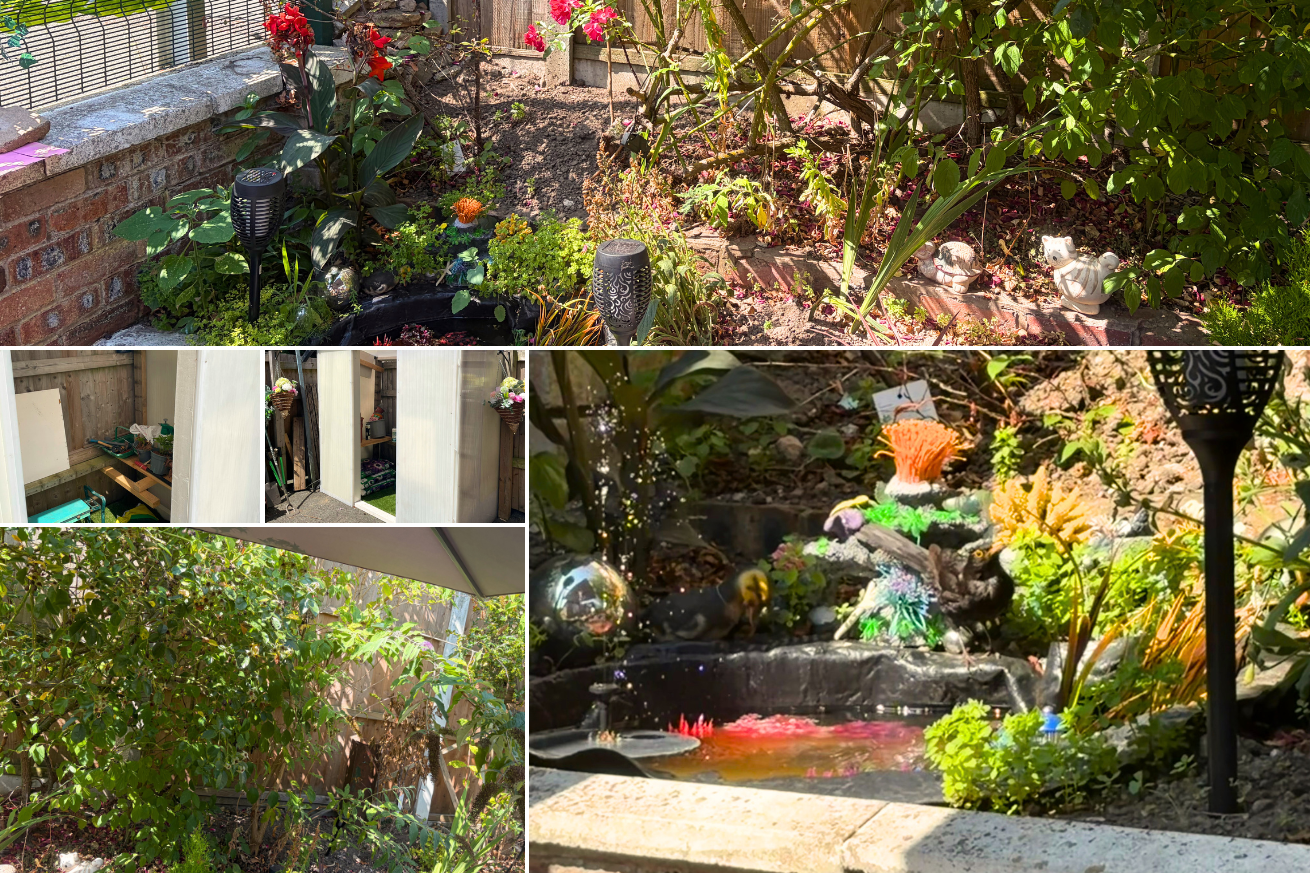 Halton Road constructed a pond surrounded by lush green plants and flowers, and also showcase their new shed.