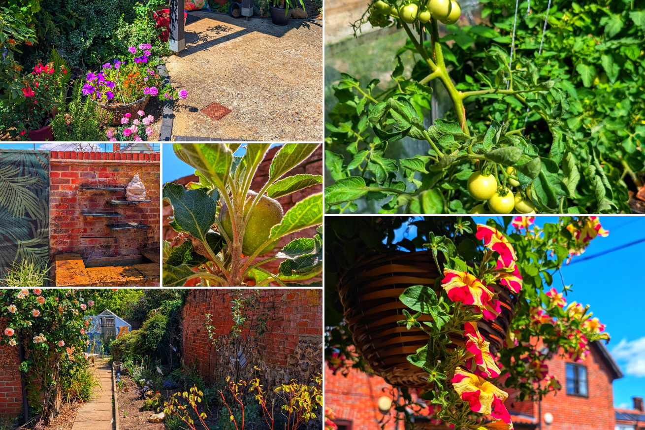 Rush House and Irene Jacoby House have shown a variety of pictures showing their many different vegetables they've grown, the lush plants and vibrant flowers and the lovely fountain they've built.