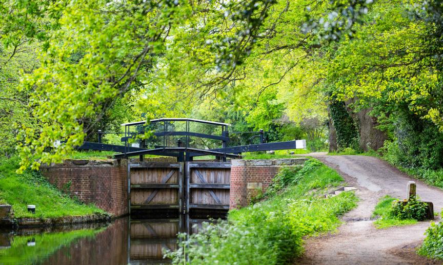 Canal lock on Bansigstoke Canal. Surrounded by lush thriving trees and shrubbery. 