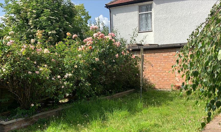 Exterior image of Church Street, London, a contemporary brick building with green long grass in front with pink rose bushes growing in a flower bed to the left hand side