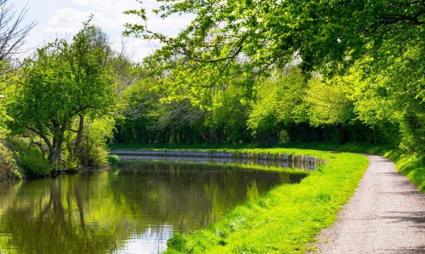 A sunny riverside path with green trees and calm water.