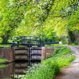 Canal lock on Basingstoke Canal. Surrounded by lush thriving trees and shrubbery. 