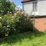 Exterior image of Church Street, London, a contemporary brick building with green long grass in front with pink rose bushes growing in a flower bed to the left hand side
