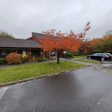 Exterior of red-brick building with a black tiled roof with grass, trees and parking spaces in front
