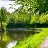 A sunny riverside path with green trees and calm water.